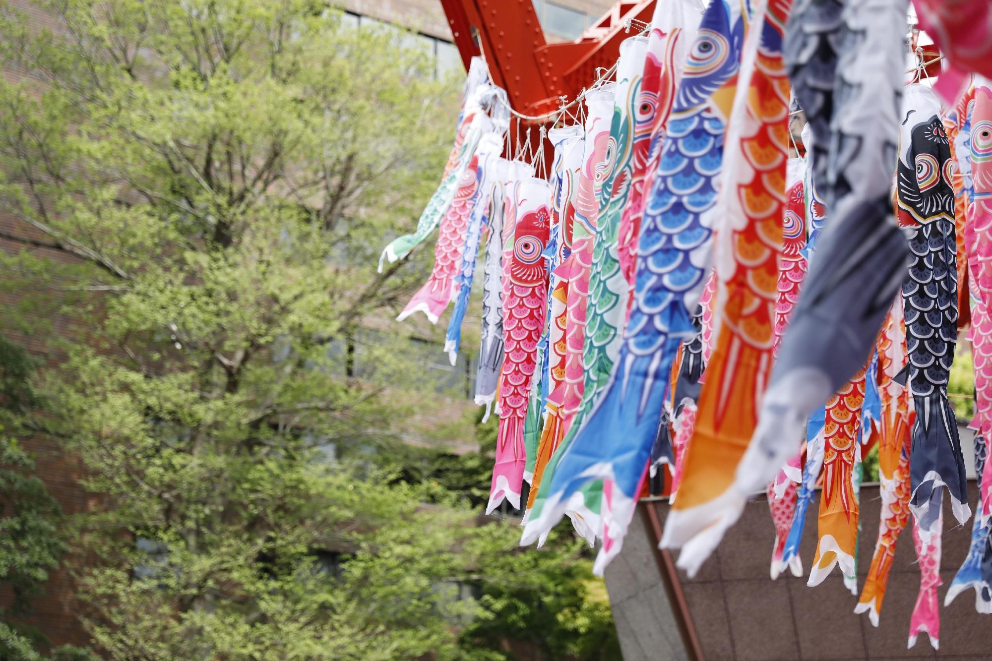 Japanese Culture１-Children's Day-